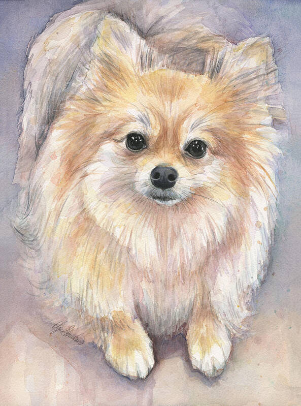 Pomeranian Art Print featuring the painting Pomeranian Watercolor by Olga Shvartsur