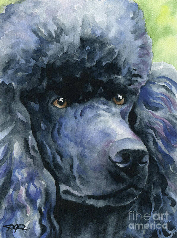 Poodle Art Print featuring the painting Poodle by David Rogers