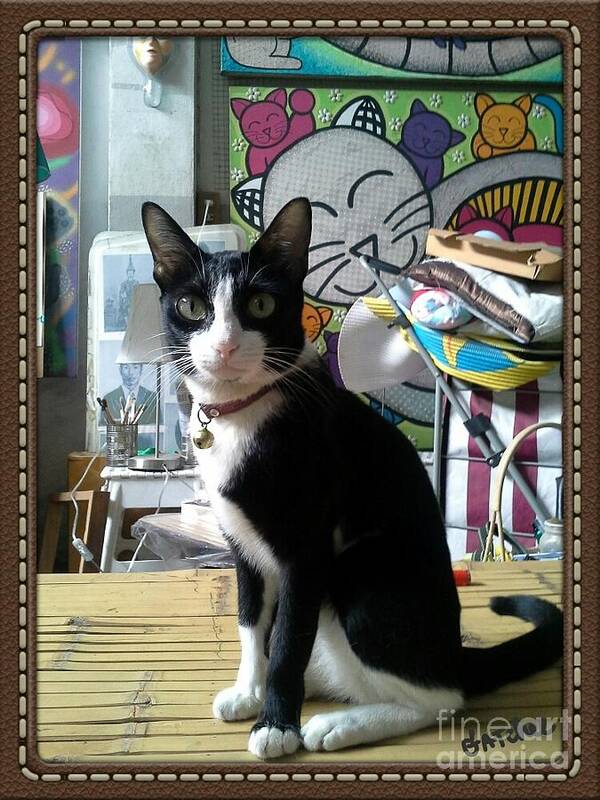 Cat Art Print featuring the photograph Portrait of GATchee by Sukalya Chearanantana
