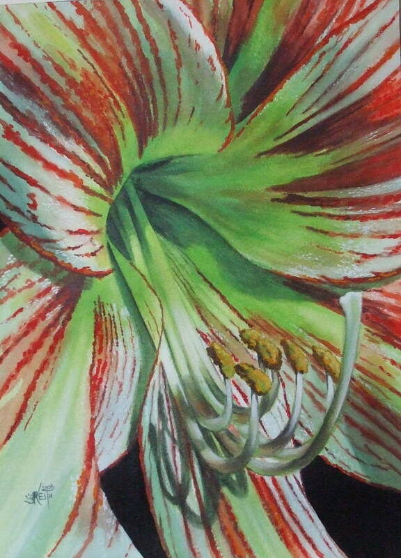 Amaryllis Art Print featuring the painting Precious by Barbara Keith