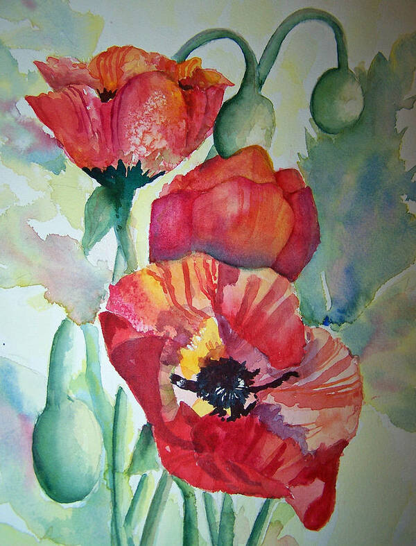 Sandy Collier Art Print featuring the painting Proud Poppies by Sandy Collier
