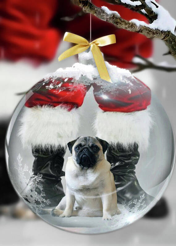 Pug Art Print featuring the photograph Pug and Santa by Jackson Pearson