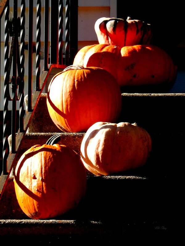 Autumn Art Print featuring the photograph Pumpkin Morning by Wild Thing