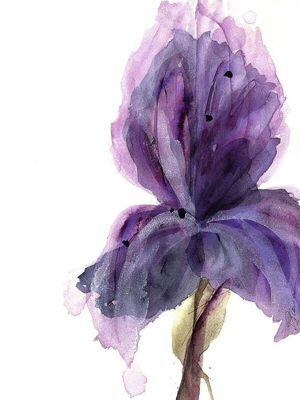 Purple Iris Art Print featuring the painting Purple Iris by Dawn Derman