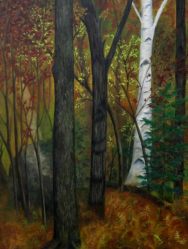 Autumn Art Print featuring the painting Quiet Autumn Woods by FT McKinstry