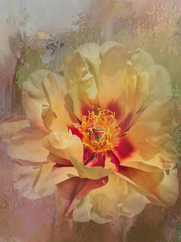 Flower Art Print featuring the photograph Rayanne's peony by Jeff Burgess