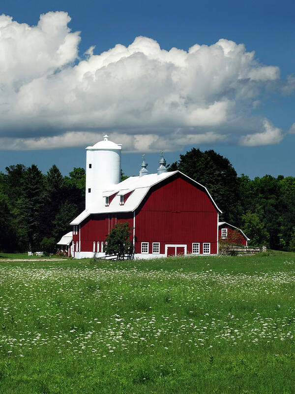 Red Barn Art Print featuring the photograph Red Barn White Cloud by David T Wilkinson