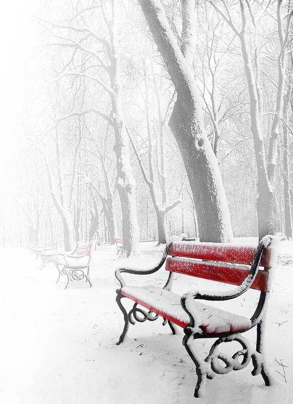 Beautiful Art Print featuring the photograph Red bench in the snow by Jaroslaw Grudzinski