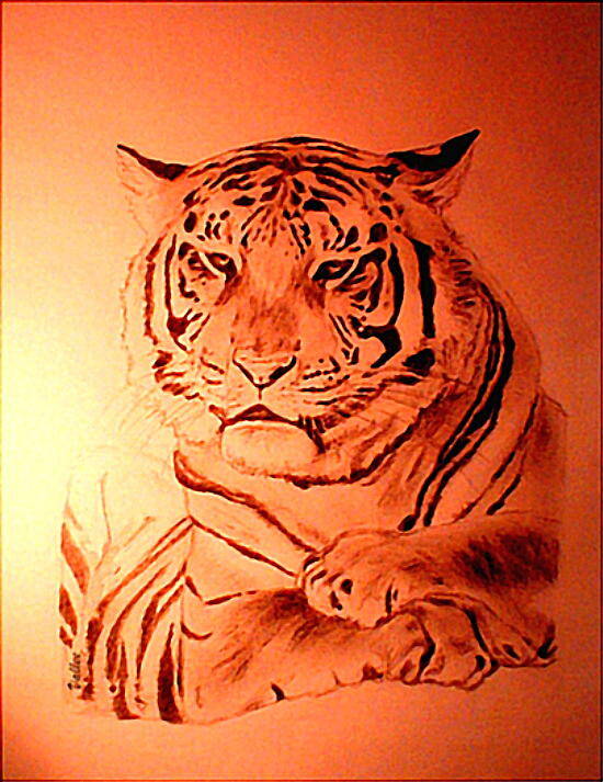 Wildlife Art Print featuring the drawing Red Darwin by Vallee Johnson