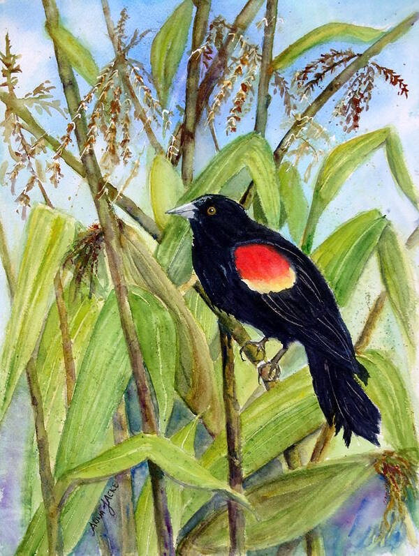 Red-winged Blackbird Art Print featuring the painting Red-Winged Sentry by Anna Jacke
