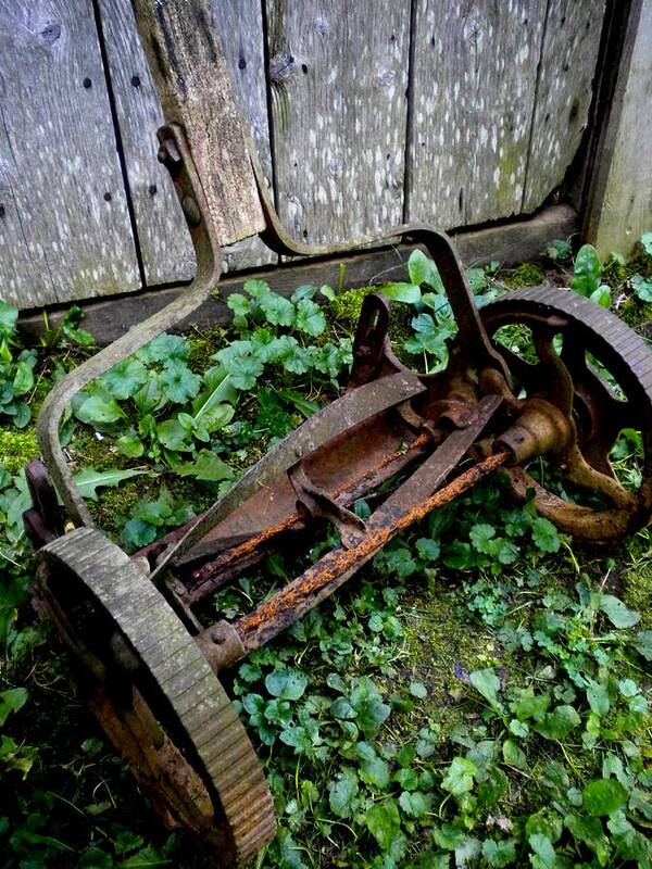Lawnmower Art Print featuring the photograph Retired by Renate Wesley