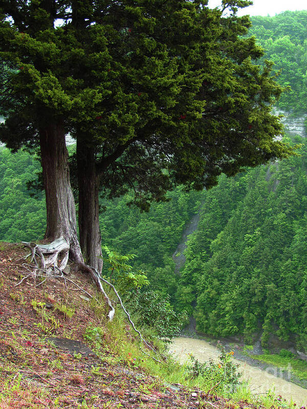 Landscape Art Print featuring the photograph River Down Below by Deborah Johnson