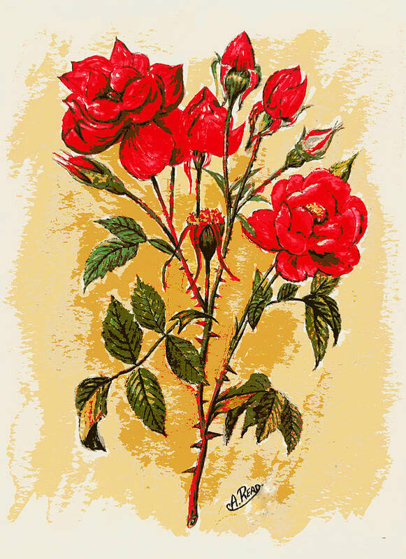 Roses Art Print featuring the painting Rosa Mister Lincoln by Andrew Read