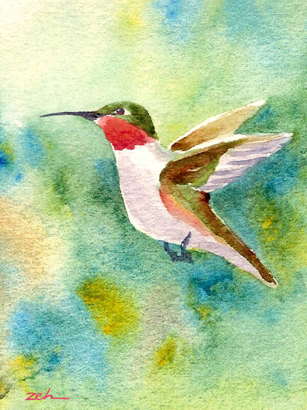 Hummingbird Art Art Print featuring the painting Ruby-throated Hummingbird by Janet Zeh