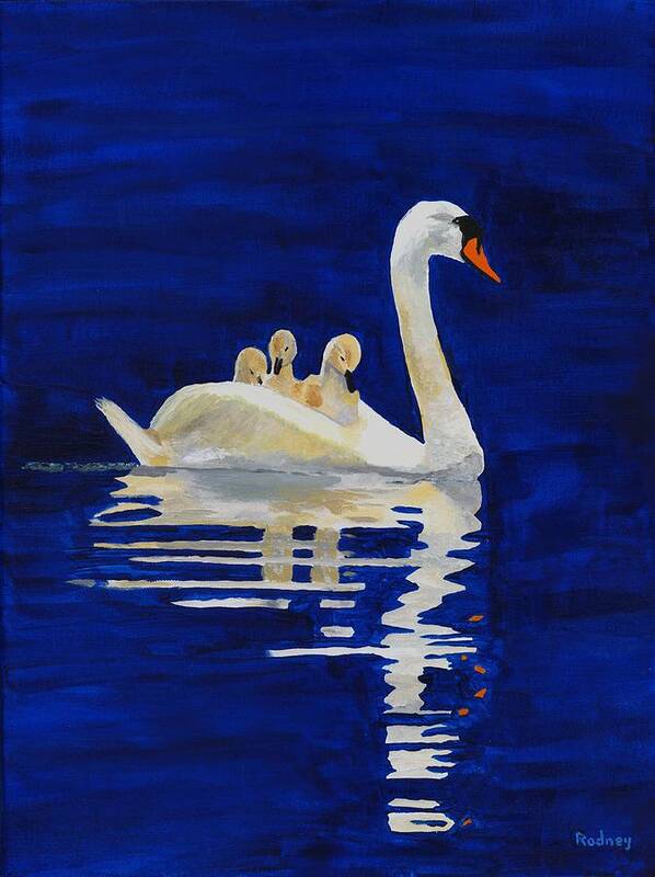 Swan Art Print featuring the painting Safe Harbor by Rodney Campbell