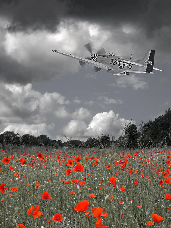P-51 Art Print featuring the photograph Salute To The Brave - p51 Flying over Poppy Field by Gill Billington