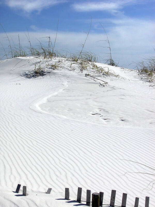 Sand Dunes Art Print featuring the photograph Sand Dunes Dream 2 by Marie Hicks