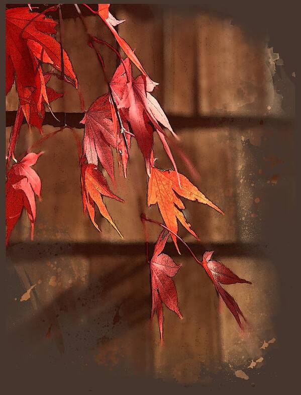 Japanese Maple Art Print featuring the digital art Scarlet Cascade by Gina Harrison