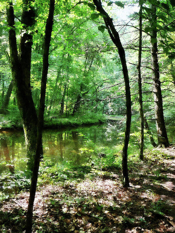 Summer Art Print featuring the photograph Shady Woods by Susan Savad