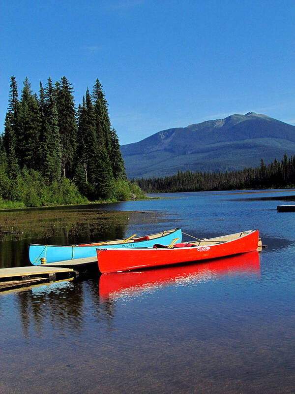 Canoe Art Print featuring the photograph Side by Side by Andrea Arnold