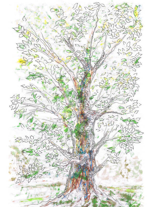 Tree Art Print featuring the painting Silent Witness by Regina Valluzzi