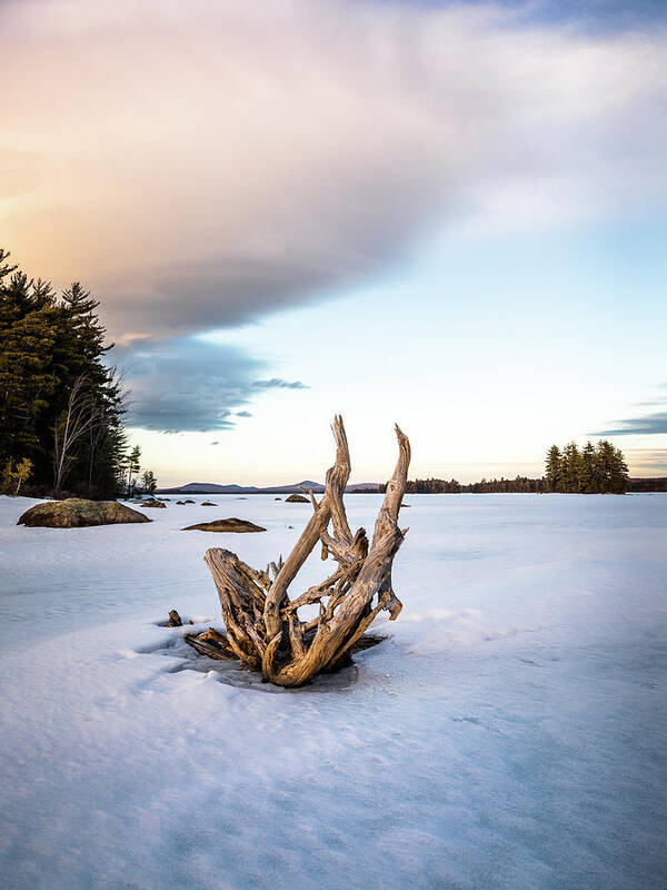 Maine Art Print featuring the photograph Simplicity No.4 by Colin Chase