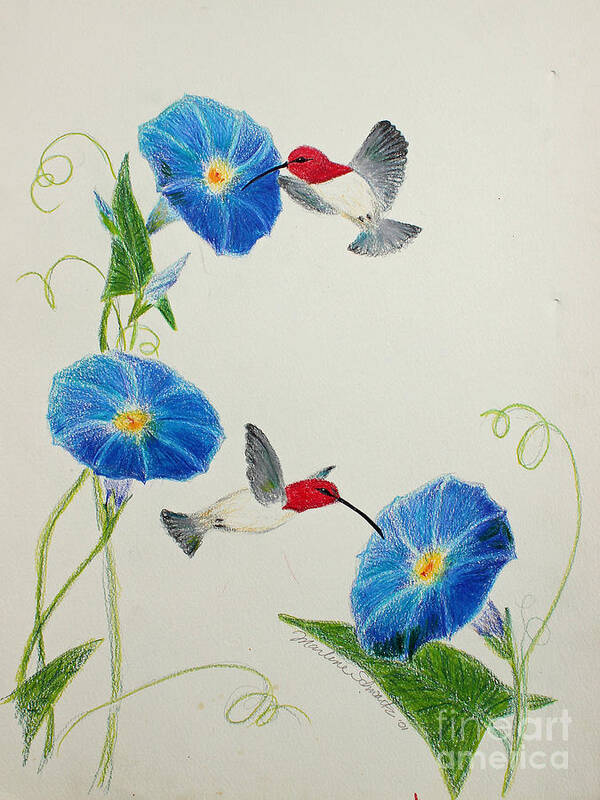 Anna's Hummingbirds Art Print featuring the painting Sip, Sip by Marlene Schwartz Massey