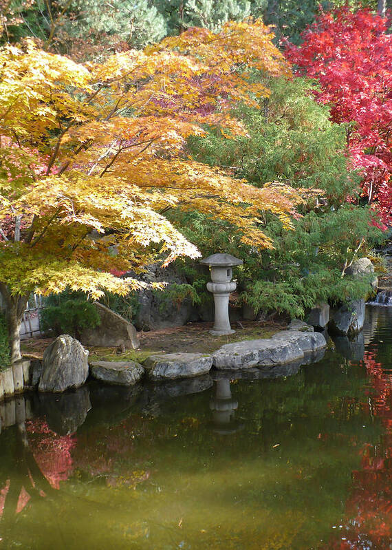 Japanese Garden Art Print featuring the photograph Soft Autumn Pond by Carol Groenen