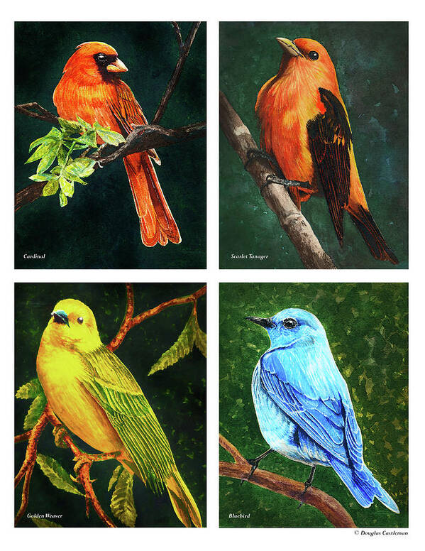 Nature Art Print featuring the painting Songbirds by Douglas Castleman