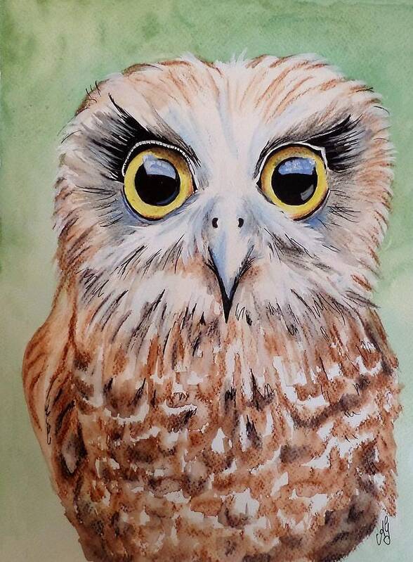 Watercolour Art Print featuring the painting Southern Boobook Owl by Anne Gardner
