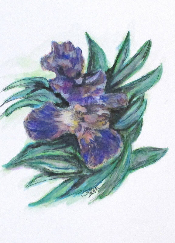 Flowers Art Print featuring the painting Spring Iris Bloom by Clyde J Kell