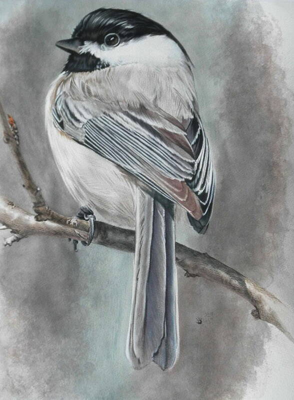 Bird Art Print featuring the mixed media Spunky by Barbara Keith
