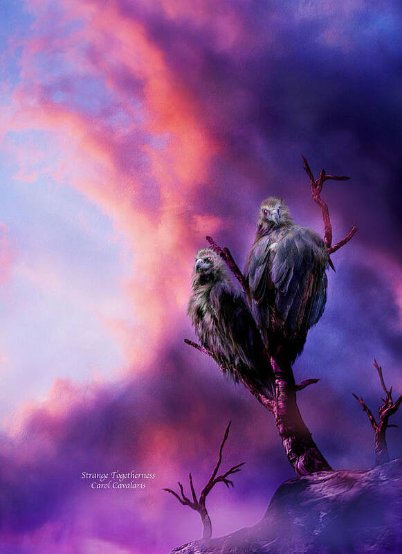 Vulture Art Print featuring the mixed media Strange Togetherness by Carol Cavalaris
