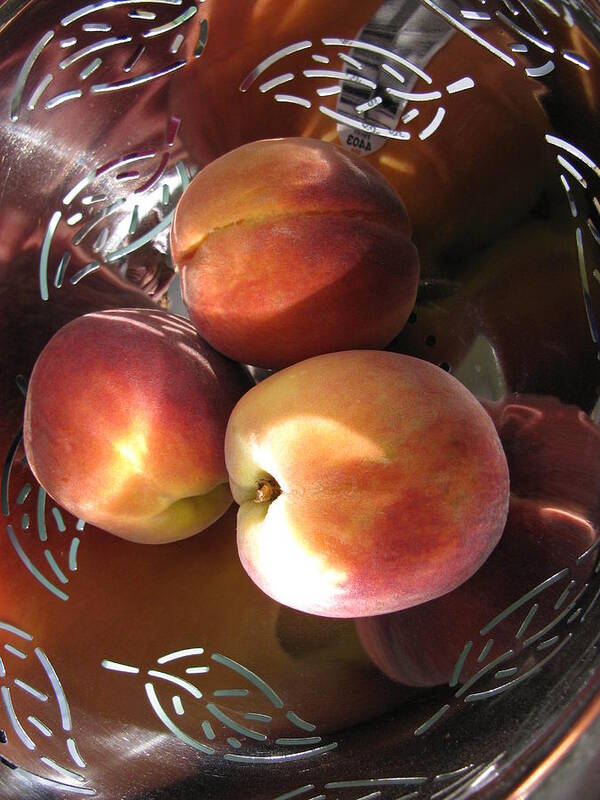Peachy Art Print featuring the photograph Summertime Fruit by Lindie Racz