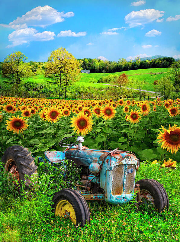 Appalachia Art Print featuring the photograph Summertime Gold and Blue by Debra and Dave Vanderlaan