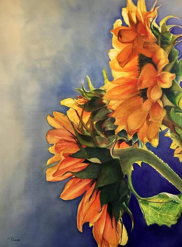 Floral Art Print featuring the painting Sunflowers by Barbara Pease