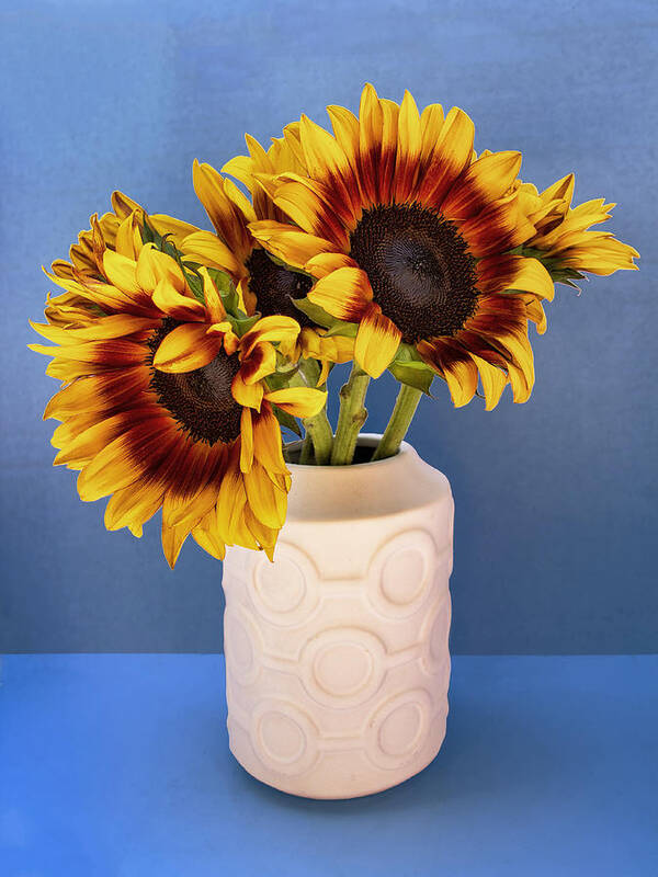 Sunflower Art Print featuring the photograph SUNFLOWERS IN CIRCLE VASE Tournesols by William Dey