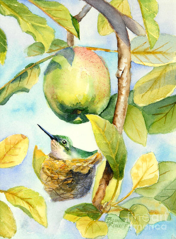 Hummingbird Art Print featuring the painting Surprise in the Apple Tree by Bonnie Rinier