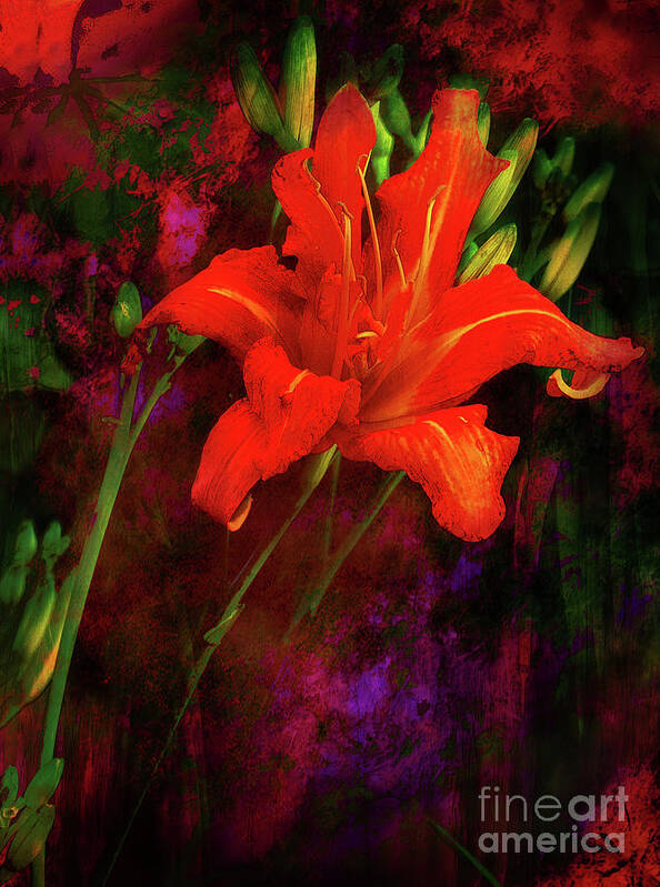 Flowers Art Print featuring the photograph Surprise by John Anderson