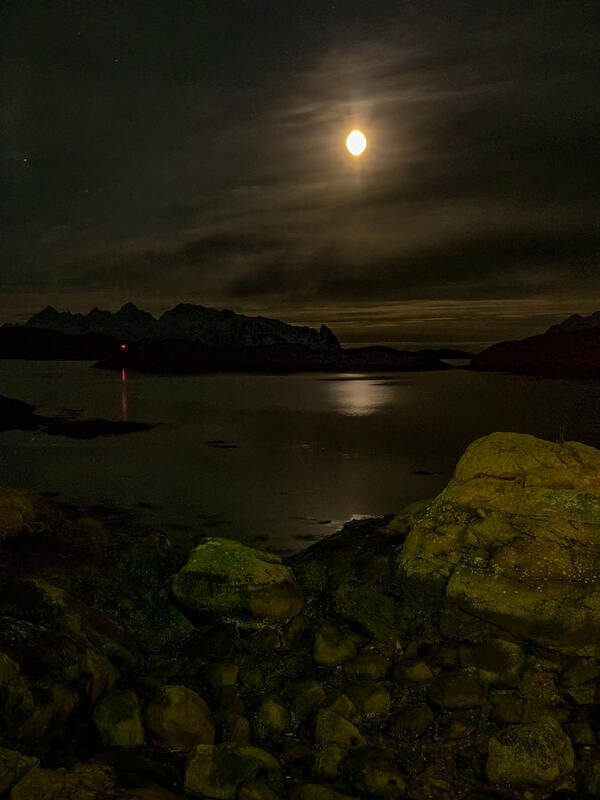 Moon Art Print featuring the photograph Svolvaer Bay by Mark Llewellyn