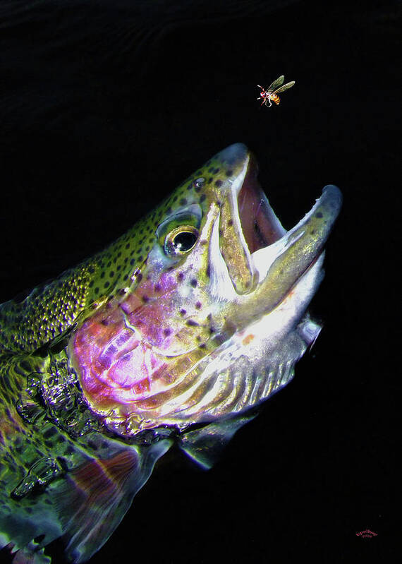 Rainbow Trout Art Print featuring the photograph The Entomologist by Brian Pelkey