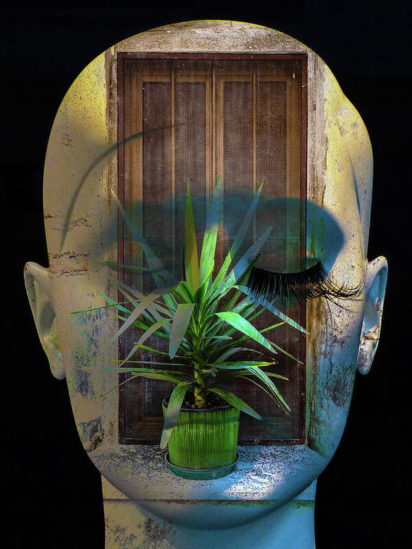 Palm Tree Art Print featuring the photograph The face with the palm tree by Gabi Hampe