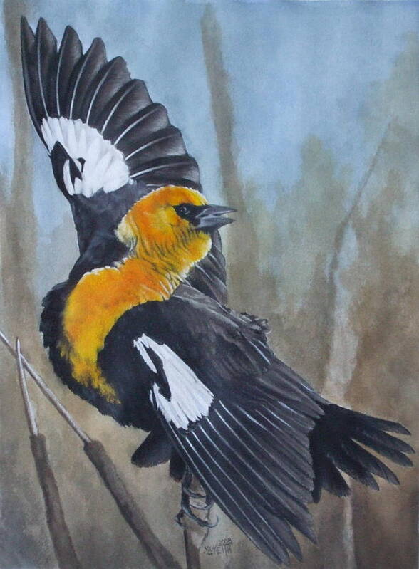Yellow Headed Blackbird Art Print featuring the painting The Flirt by Barbara Keith