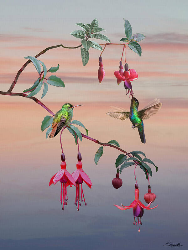 Flowers Art Print featuring the digital art The Hummingbird Fuchsia by M Spadecaller