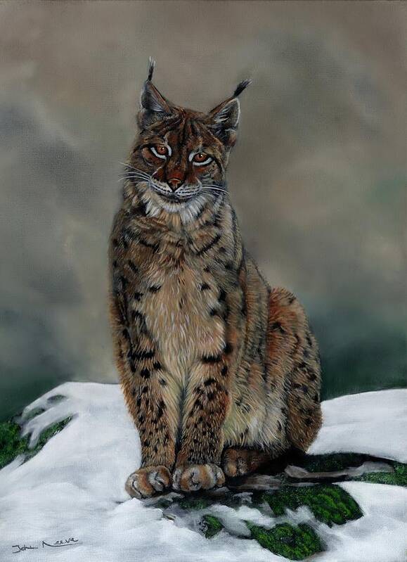 Lynx Art Print featuring the painting The Missing Lynx by John Neeve