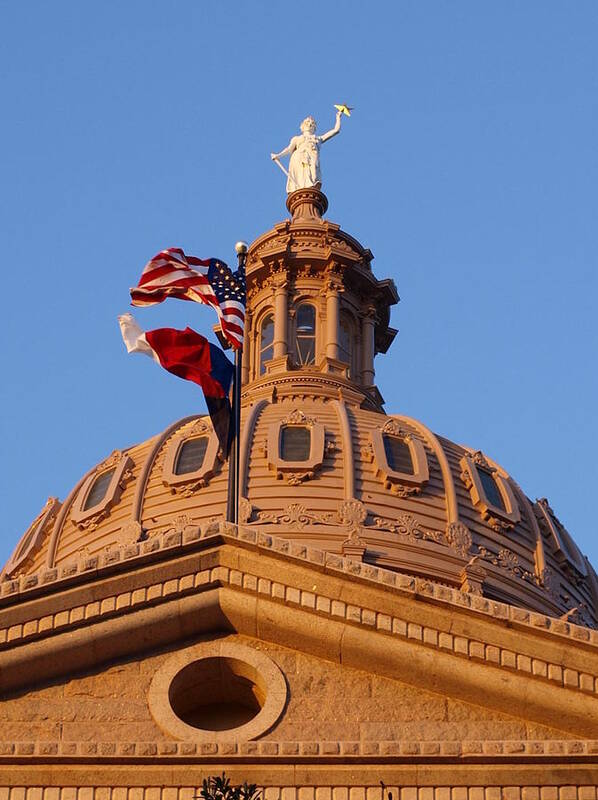 Photo Art Print featuring the photograph The State of Texas Capital II by James Granberry