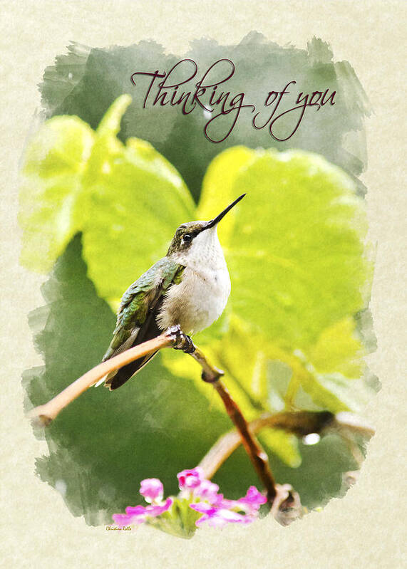 Thinking Of You Art Print featuring the mixed media Thinking of You Hummingbird in the Rain Greeting Card by Christina Rollo
