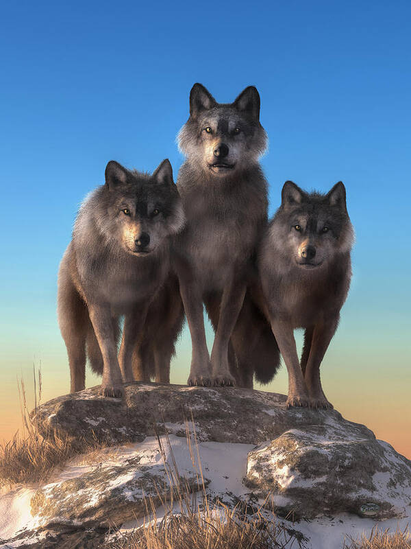 Staring Contest Art Print featuring the digital art Three Wolves Watching You by Daniel Eskridge