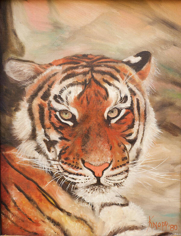 Tiger Art Print featuring the mixed media Tiger by Kathy Knopp