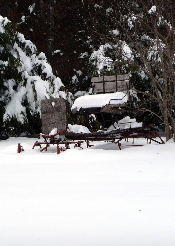 Winter Art Print featuring the photograph Tricia's Sleigh by Joel Deutsch